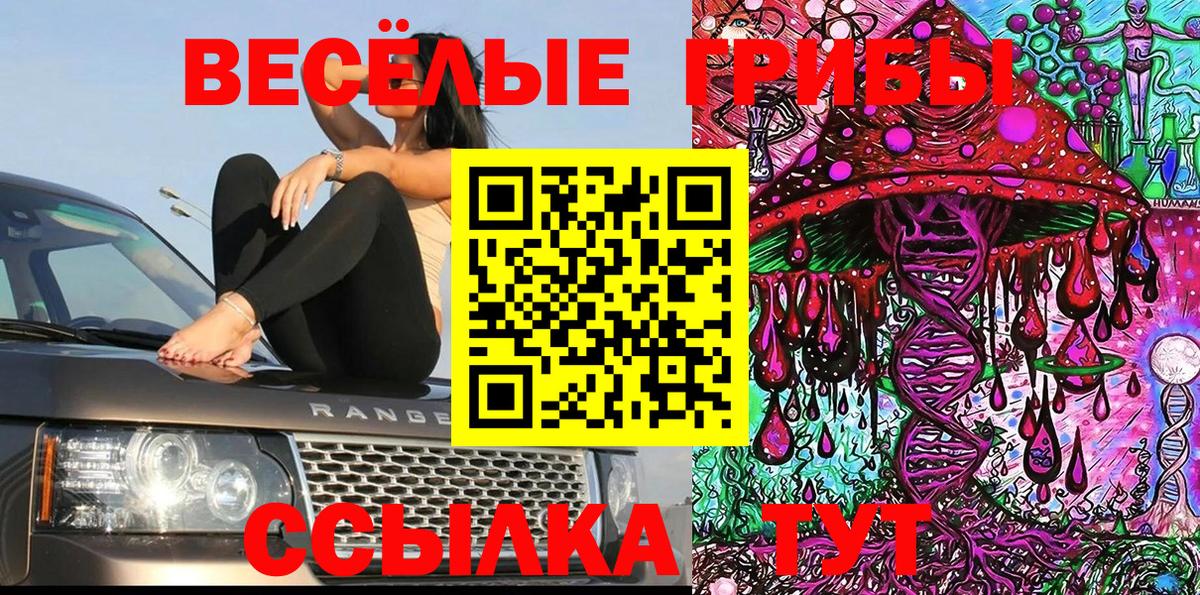 Галлюциногенные грибы MAGIC MUSHROOMS  Псилоцибиновые грибы мухоморы  где найти   Нарткала  Вход с VPN 